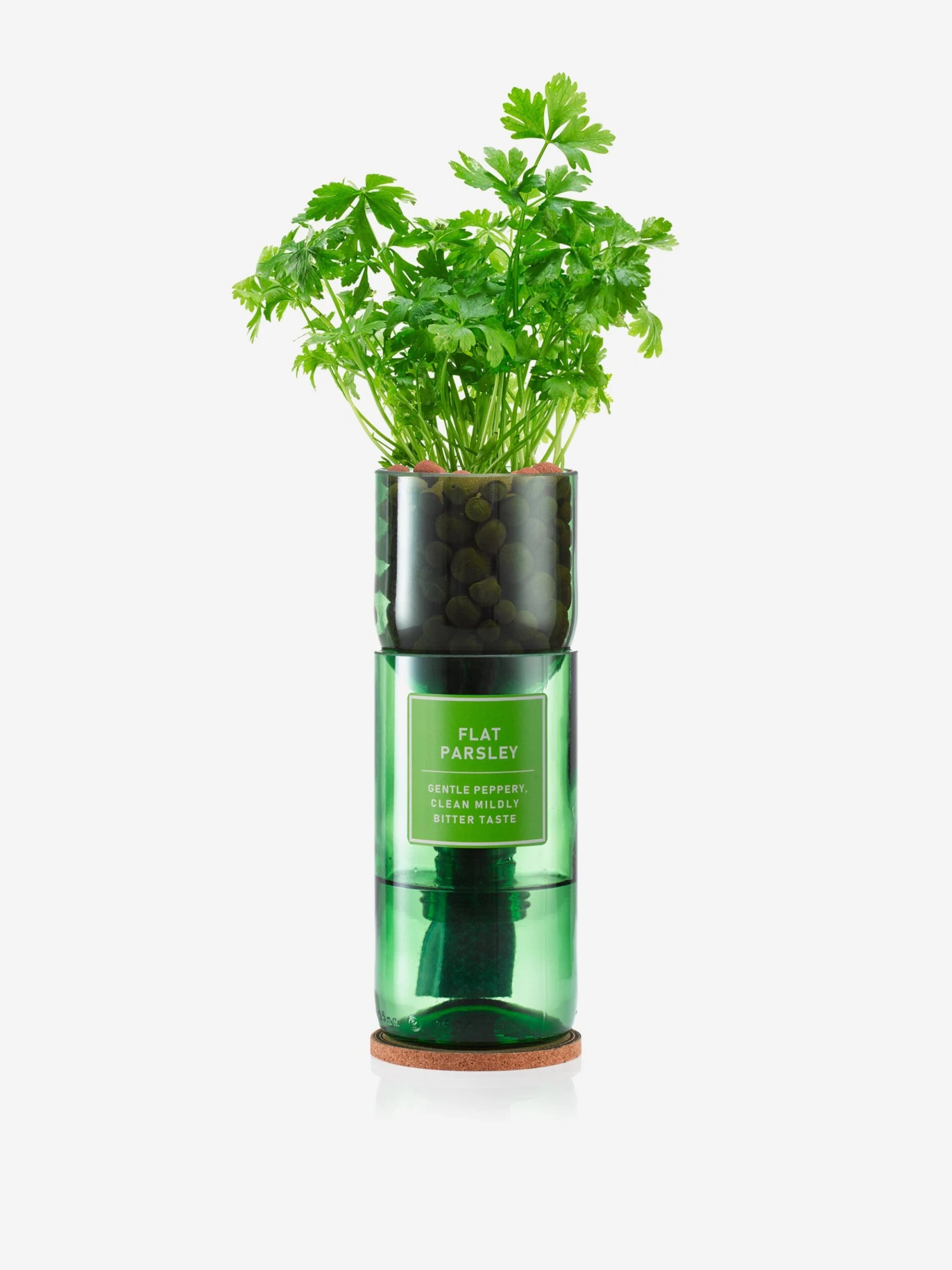Hydro-Herb Grow Your Own Flat Parsley - Multi 5 Hydro-Herb Grow Your Own Flat Parsley - Multi - Image 3
