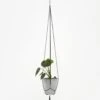 HAY Phanta Plant Hanger - Black -Quality Home Furnishings Store HAY PHANTA PLANT HANGER BLACK SS21 GOODHOOD 92643