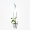 HAY Phanta Plant Hanger - Green -Quality Home Furnishings Store HAY PHANTA PLANT HANGER GREEN SS21 GOODHOOD 92640