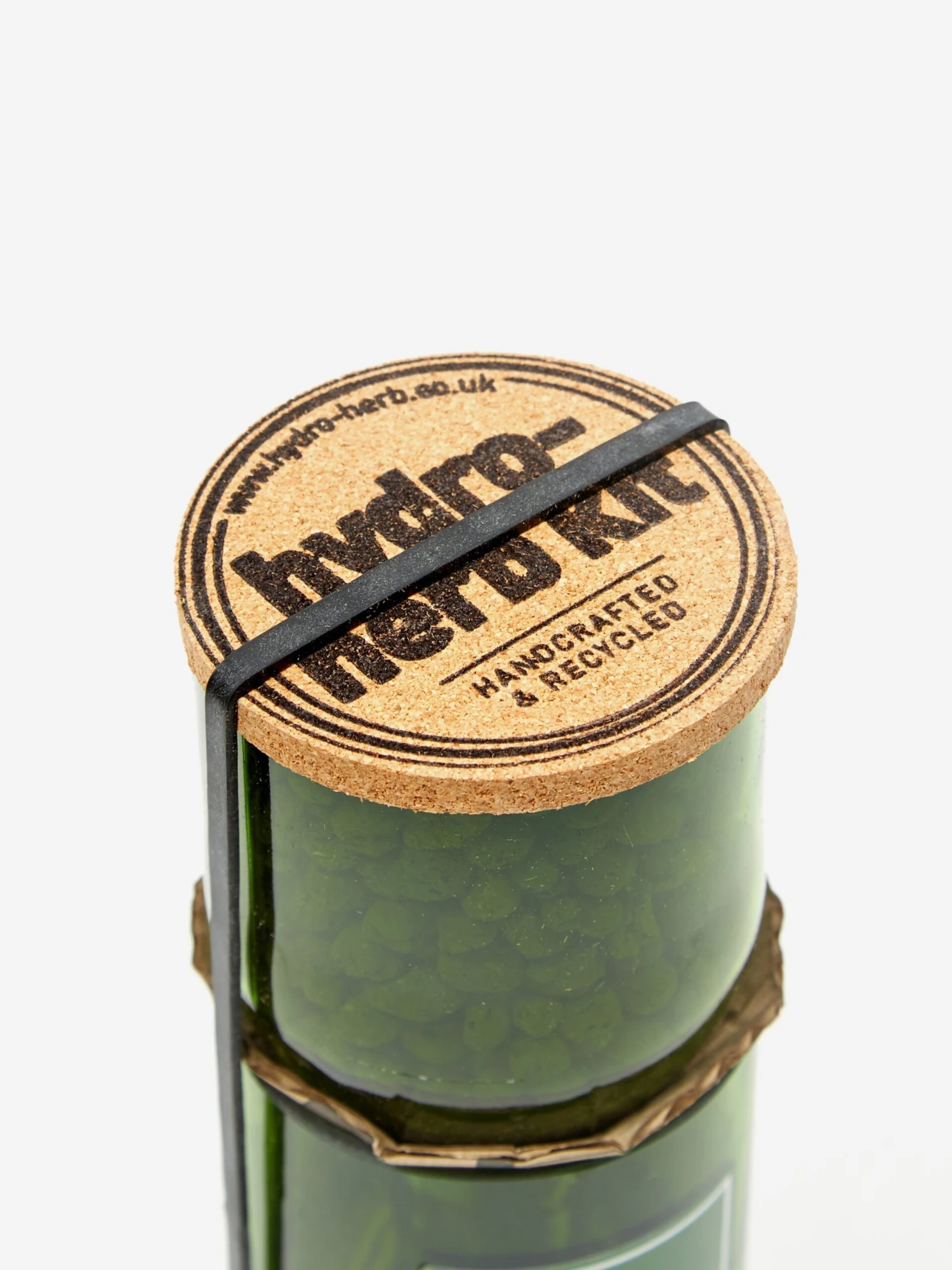 Hydro-Herb Grow Your Own Flat Parsley - Multi 4 Hydro-Herb Grow Your Own Flat Parsley - Multi - Image 2