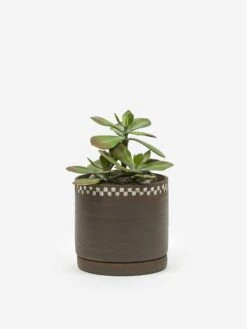 Mellow NYC Short Stout Planter - Dark Brown Small Embossed Painted Check -Quality Home Furnishings Store MELLOW SHORT STOUT PLANTER DARK BROWN SMALL EMBOSSED PAINTED CHECK SS21 GOODHOOD 64362 c70aa4b0 ea26 45aa 9d91 ad994a2495ce