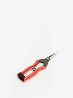 Niwaki Gardnening Snips 8 Niwaki Gardnening Snips -Quality Home Furnishings Store NIWAKI GARDNENING SNIPS SS24 GOODHOOD 2